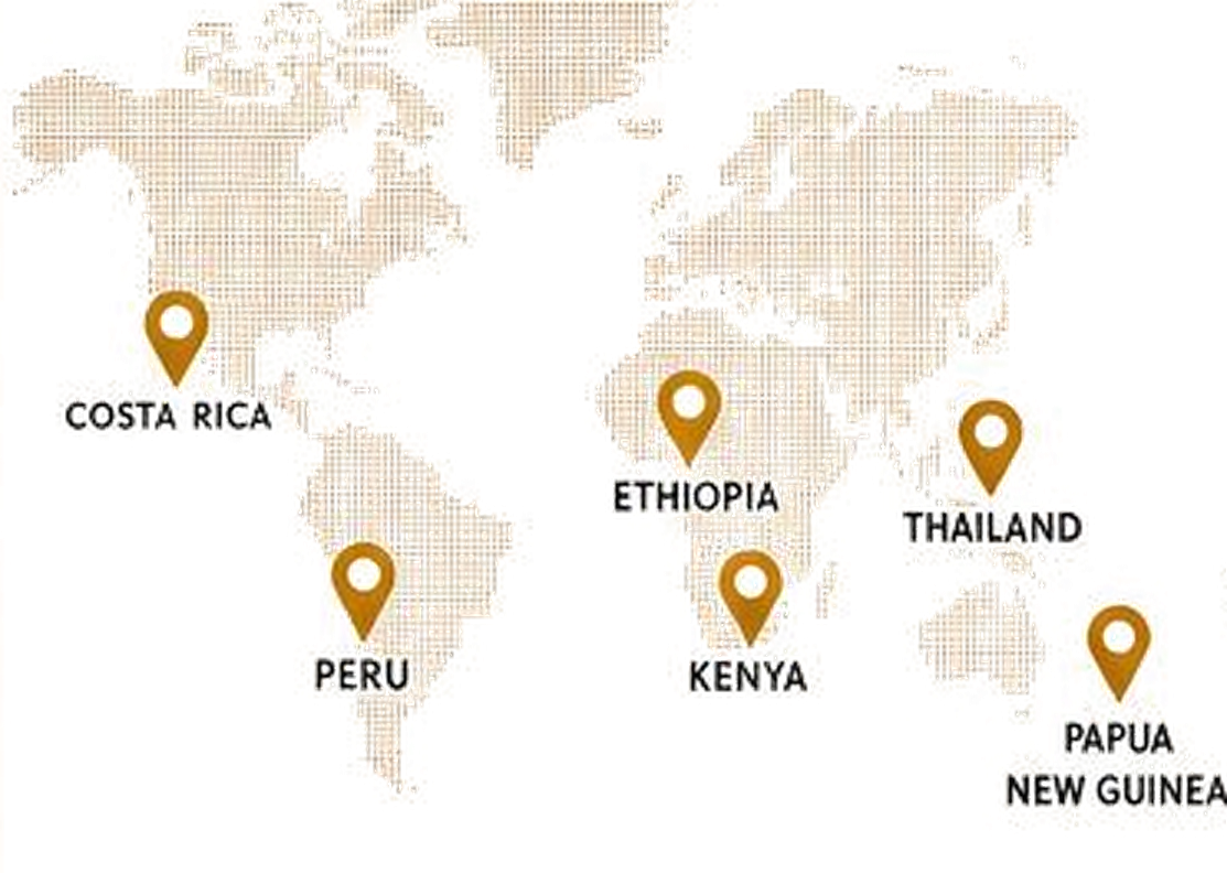 Map of the specialty coffee origins: Costa Rica, Peru, Ethiopia, Kenya, Thailand and Papua New Guinea